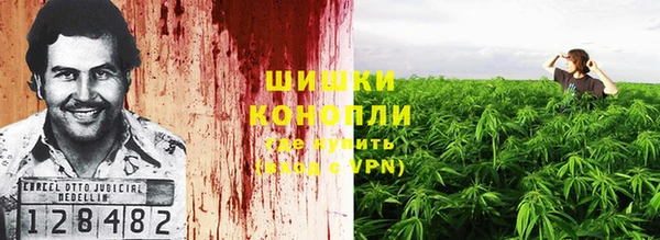 jwh Богородск