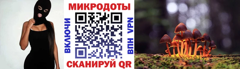 Галлюциногенные грибы мухоморы  это какой сайт  Новокузнецк 